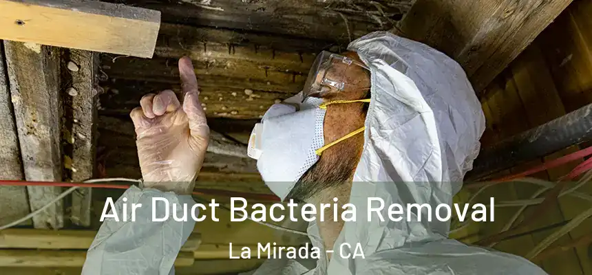 Air Duct Bacteria Removal La Mirada - CA