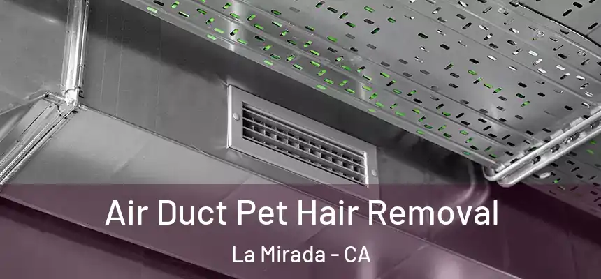  Air Duct Pet Hair Removal La Mirada - CA