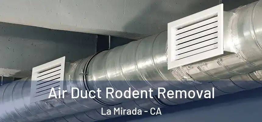  Air Duct Rodent Removal La Mirada - CA
