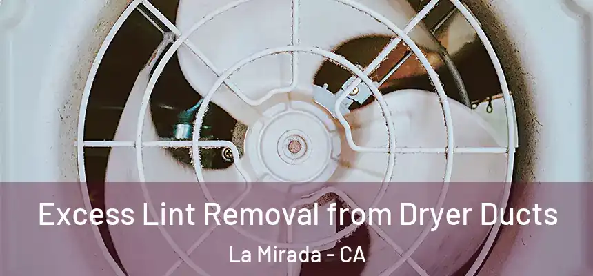 Excess Lint Removal from Dryer Ducts La Mirada - CA