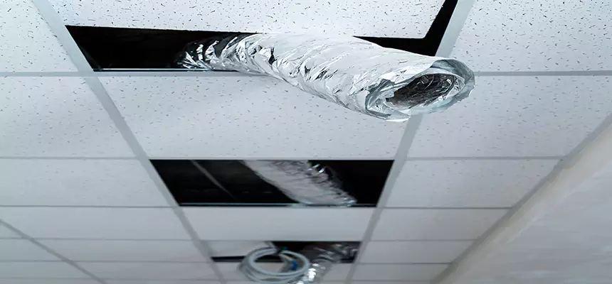 Affordable HVAC Sanitizing After Pest Removal in La Mirada