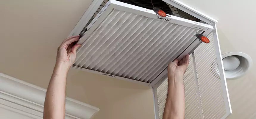 Our Insect Removal from Air Ducts Services in La Mirada, CA