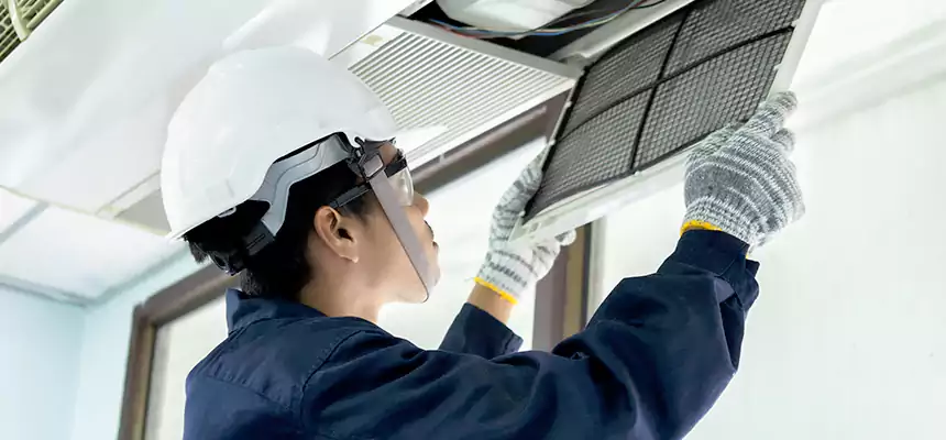 Our Mold & Mildew Removal from Air Ducts Services in La Mirada, CA