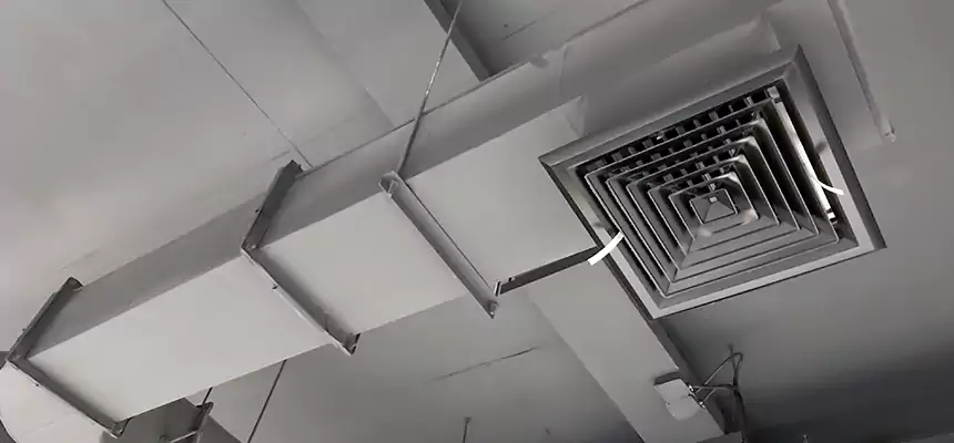 Our Pest Removal From Ducts Services in La Mirada, CA