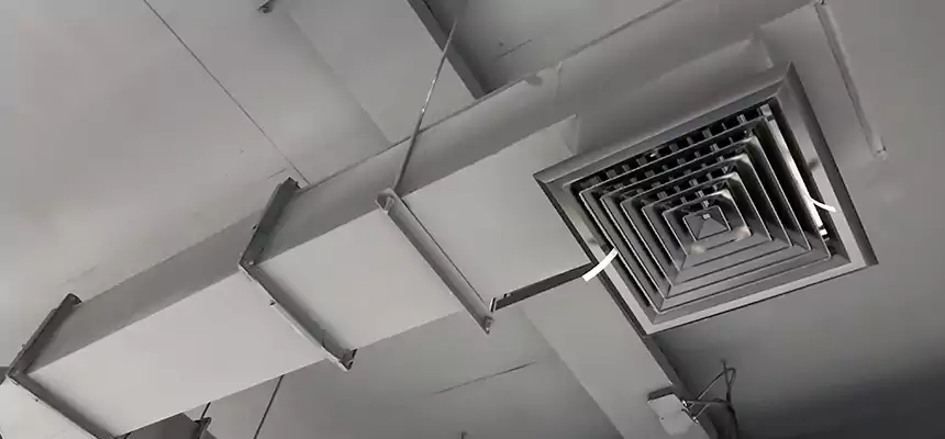 Our Rodent Droppings In Vents Services in La Mirada, CA