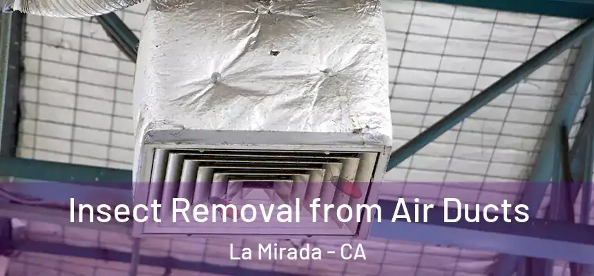  Insect Removal from Air Ducts La Mirada - CA