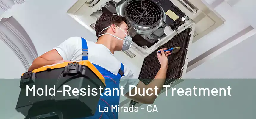  Mold-Resistant Duct Treatment La Mirada - CA