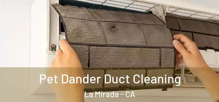  Pet Dander Duct Cleaning La Mirada - CA