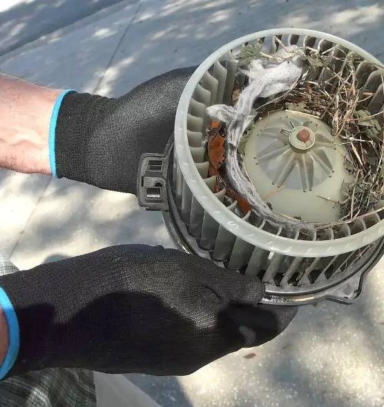 About Air Duct Rat Removal in La Mirada, CA