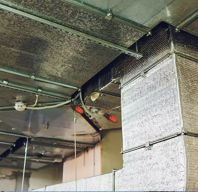 Why Homeowners & Businesses Trust Us in La Mirada, CA?