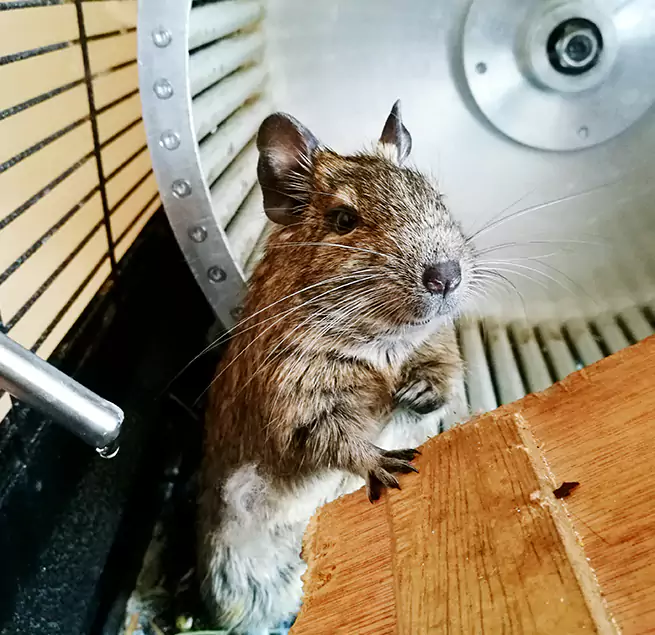 Why Homeowners & Businesses Trust Us La Mirada, CA