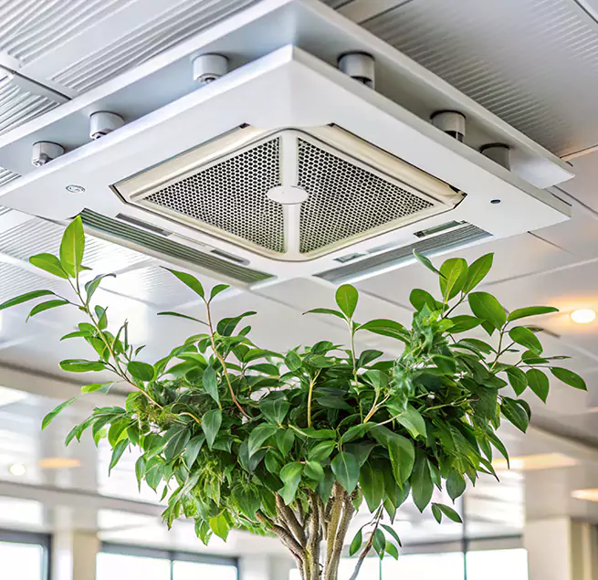 Why Homeowners & Businesses Trust Us in La Mirada, CA