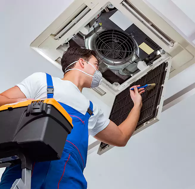 Why Homeowners & Businesses Trust Us in La Mirada, CA?