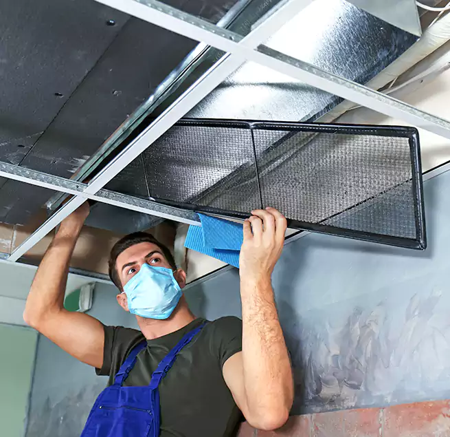 Why Homeowners Businesses Trust Us in La Mirada, CA